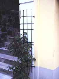 Dekoratives aus Eisen für den Garten